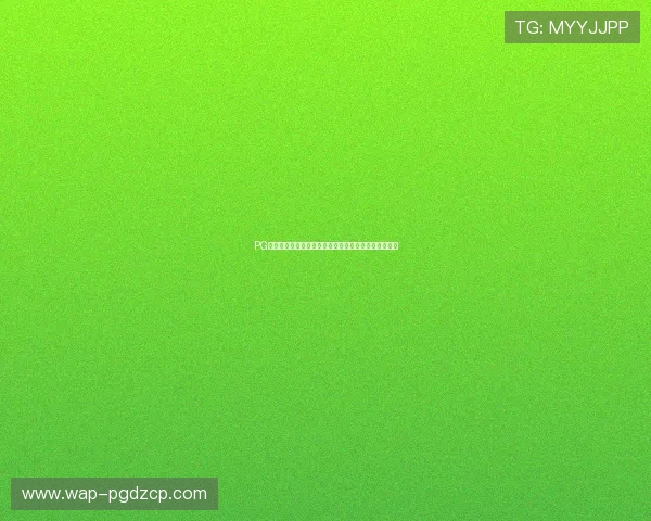 PG网站免费下载是否存在风险专家提醒用户注意网络安全